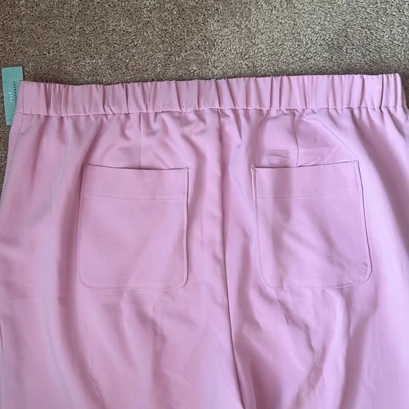 NWT Anthropologie Maeve Lilac Pants - Picture 9 of 12